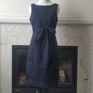 Holding Horses Denim Dress 2